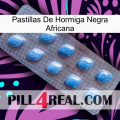 African Black Ant Pills viagra3